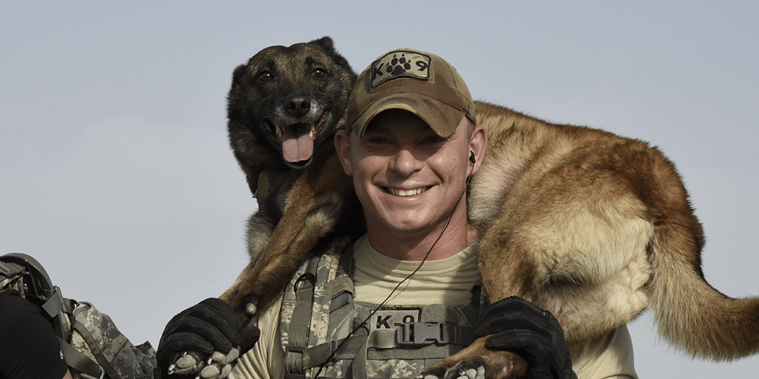 what breed are military working dogs