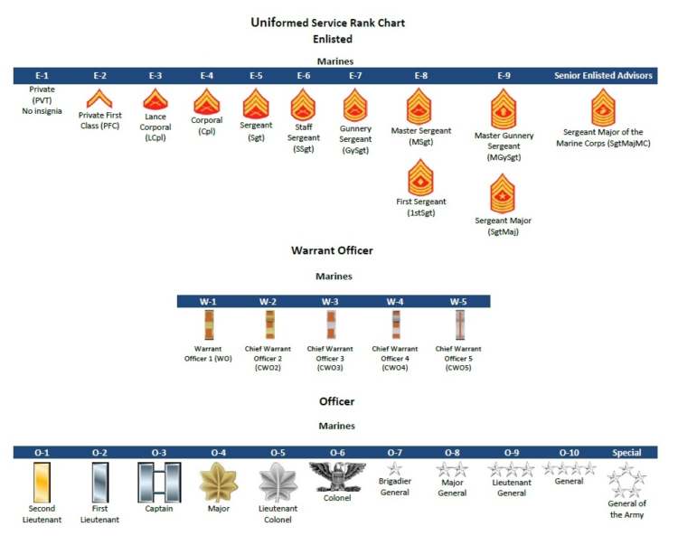 The Complete List Of US Military Ranks in Order Sandboxx