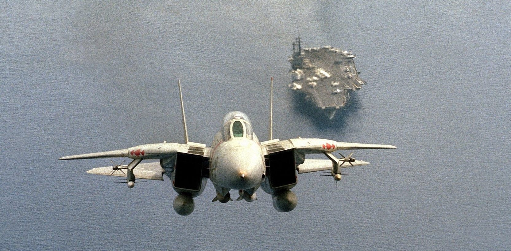 1665px x 820px - Why did the F-14 Tomcat retire decades before its peers? - Sandboxx