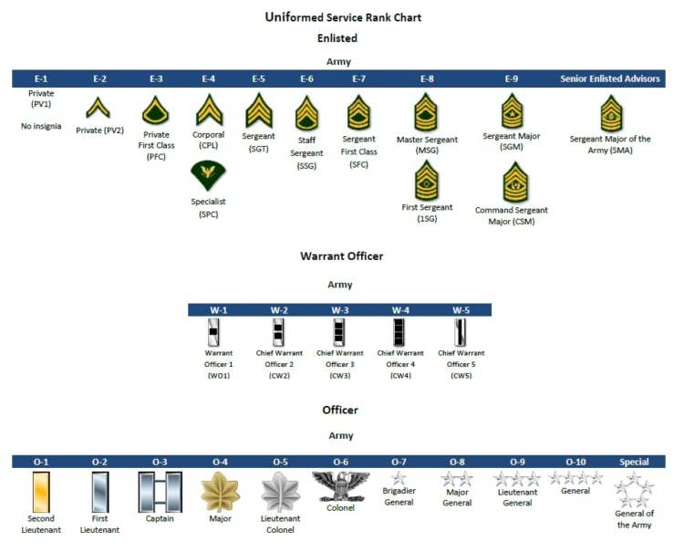 military rank structure printable