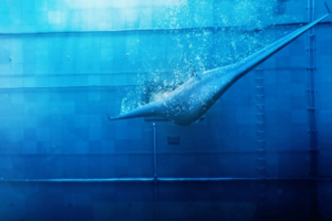 Northrop Grumman's Manta Ray submarine could be a boon for anti ...