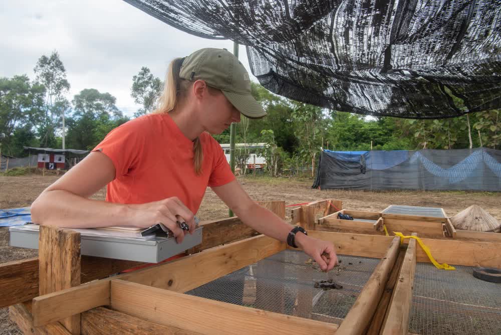 DPAA recovery mission in Laos