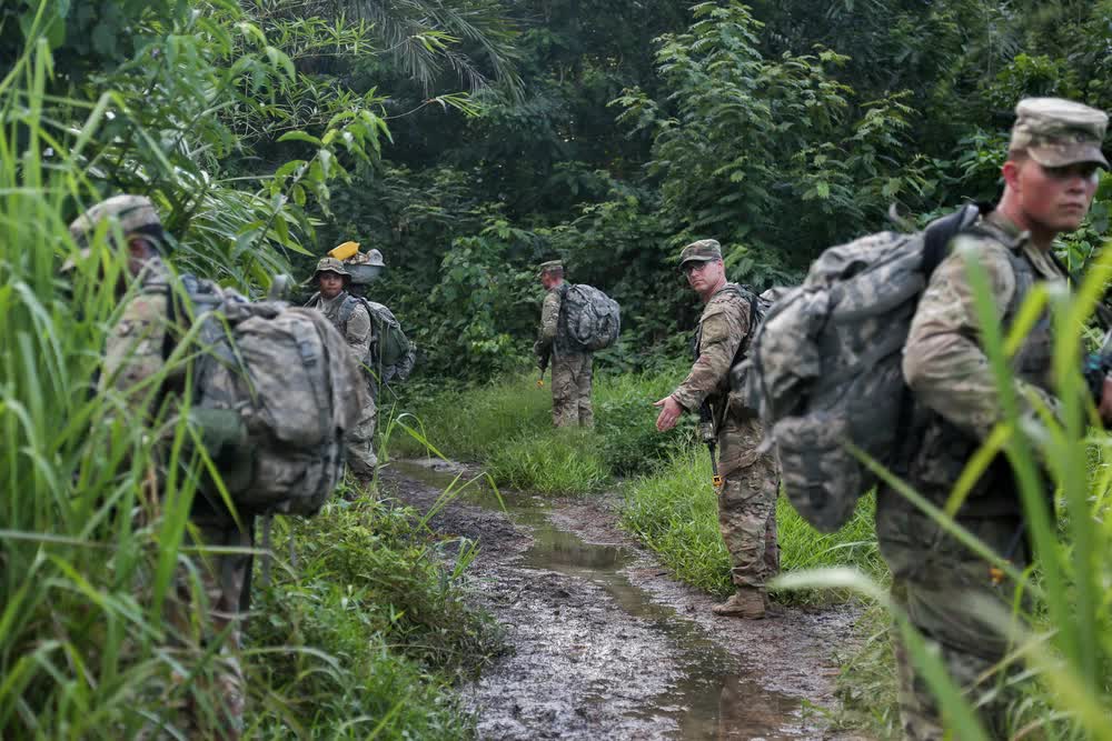 jungle warfare training